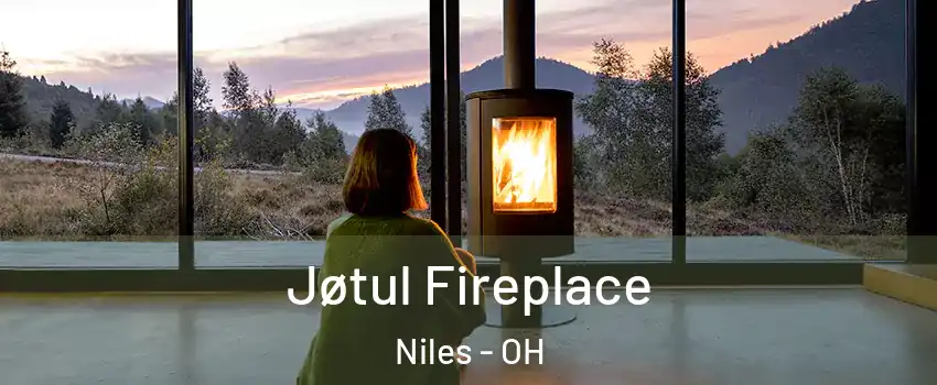  Jøtul Fireplace Niles - OH