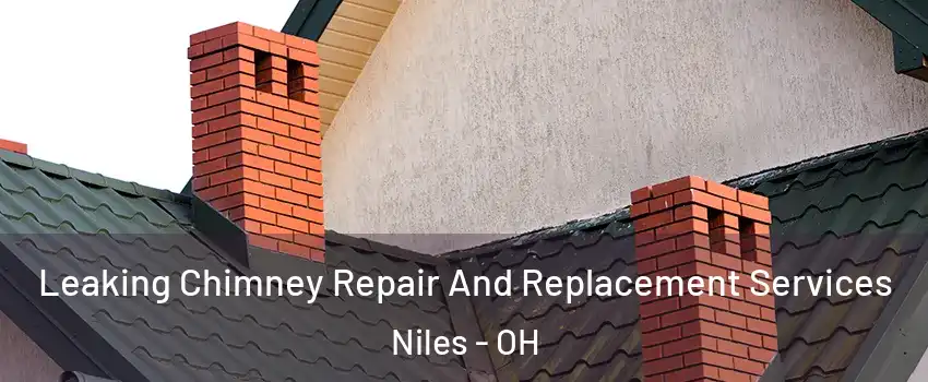  Leaking Chimney Repair And Replacement Services Niles - OH