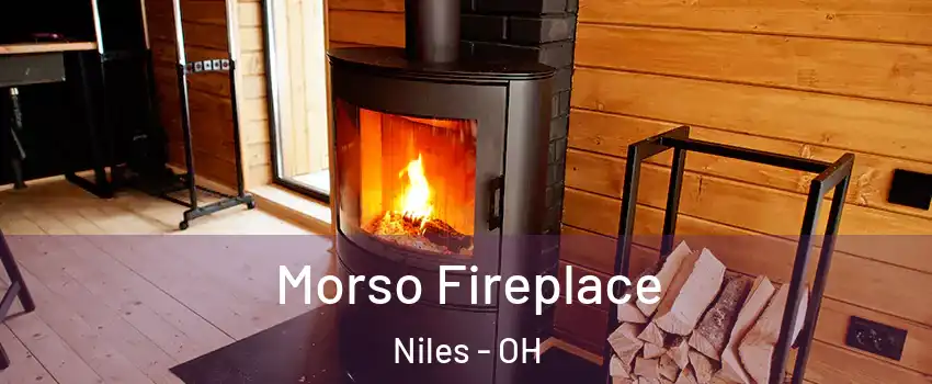 Morso Fireplace Niles - OH