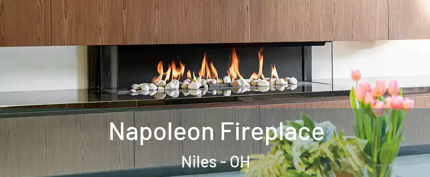  Napoleon Fireplace Niles - OH