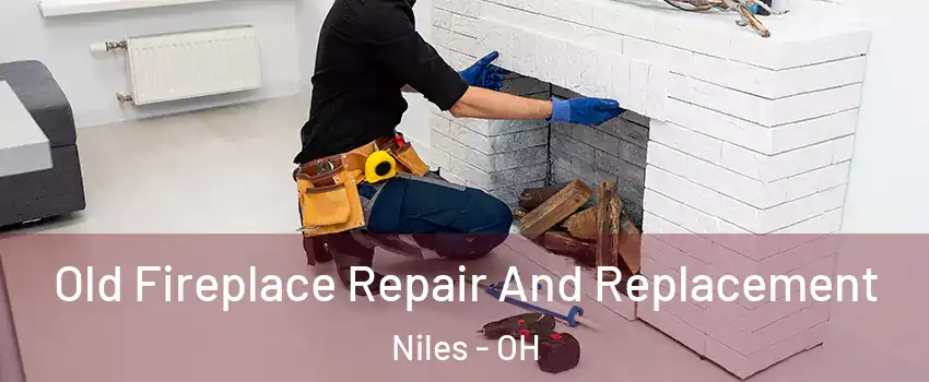  Old Fireplace Repair And Replacement Niles - OH