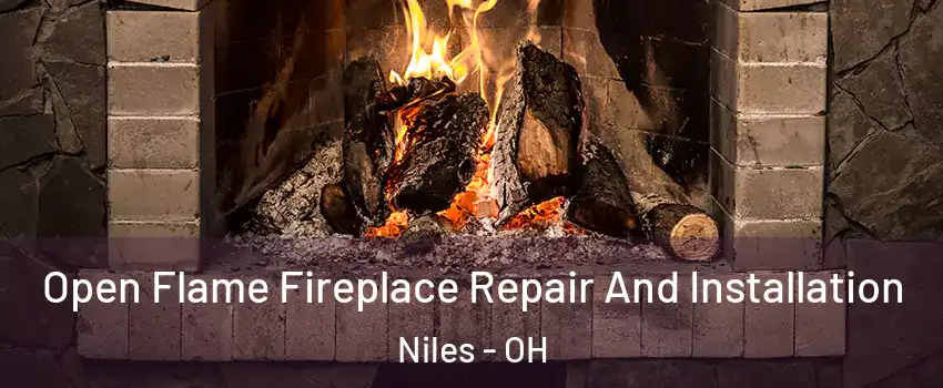  Open Flame Fireplace Repair And Installation Niles - OH