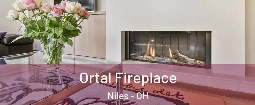 Ortal Fireplace Niles - OH