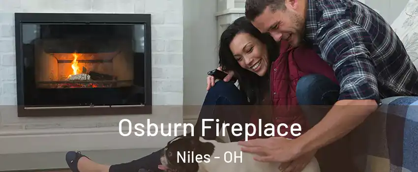  Osburn Fireplace Niles - OH