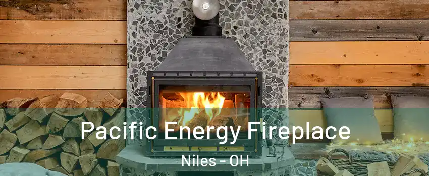  Pacific Energy Fireplace Niles - OH