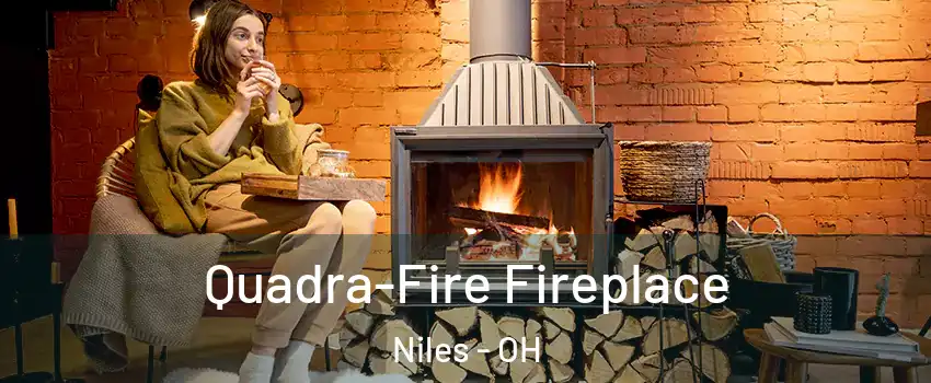  Quadra-Fire Fireplace Niles - OH