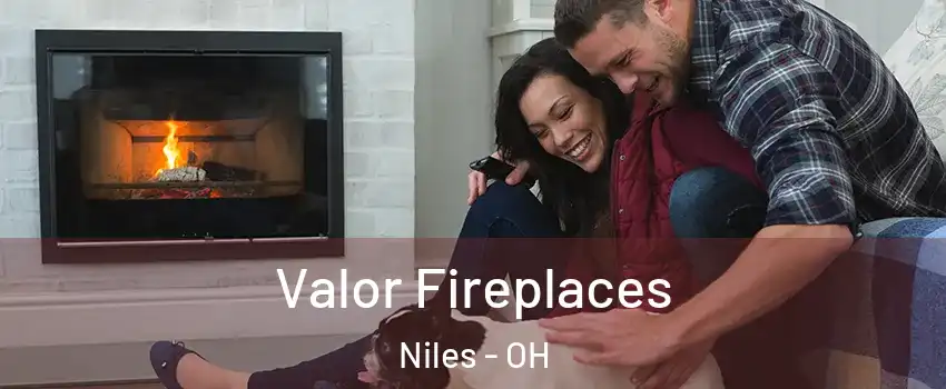  Valor Fireplaces Niles - OH