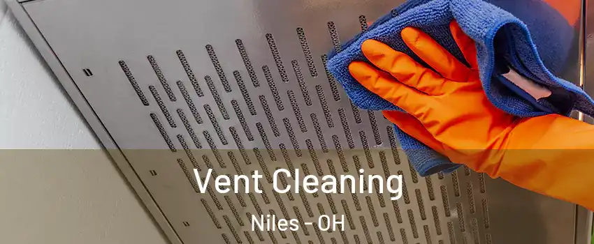  Vent Cleaning Niles - OH