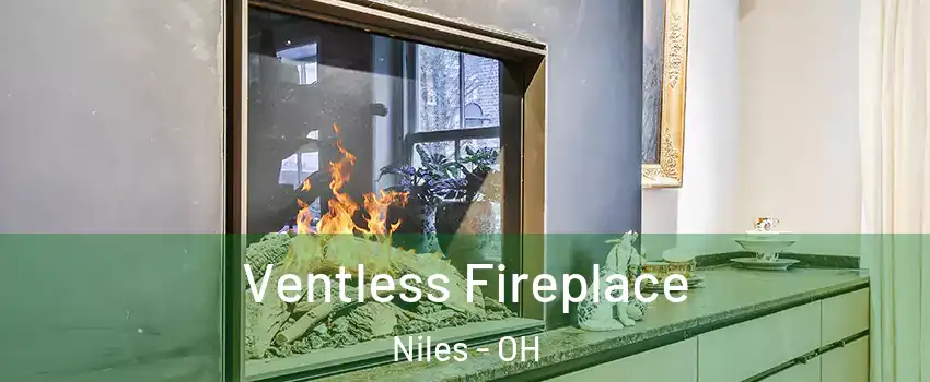  Ventless Fireplace Niles - OH